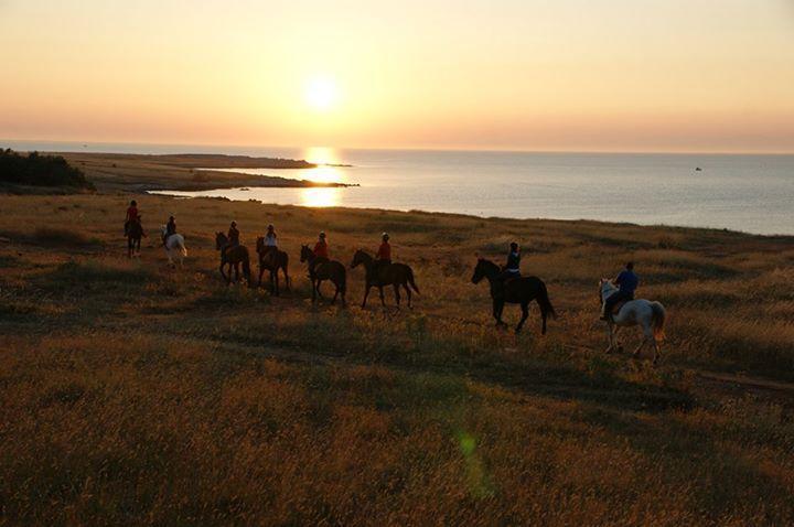 Agriturismo Massaro Pietro Otranto Eksteriør billede